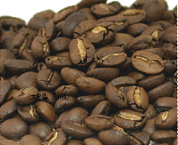 コーヒー豆.png